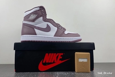 DZ5485- Compact Retro 8885 J  Sky Jordan Mauve High 125 OG 1 1104